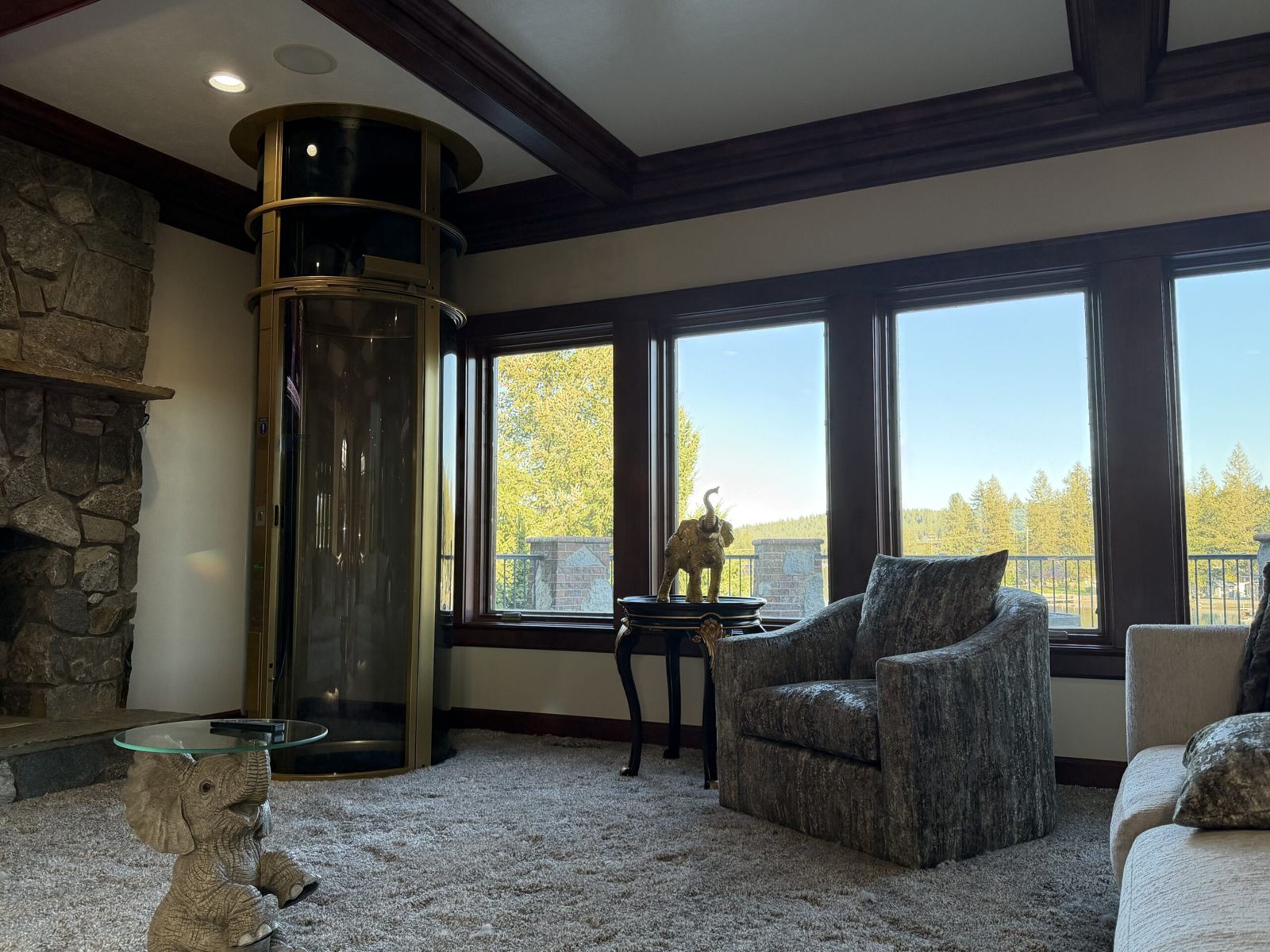 Pneumatic glass home elevator